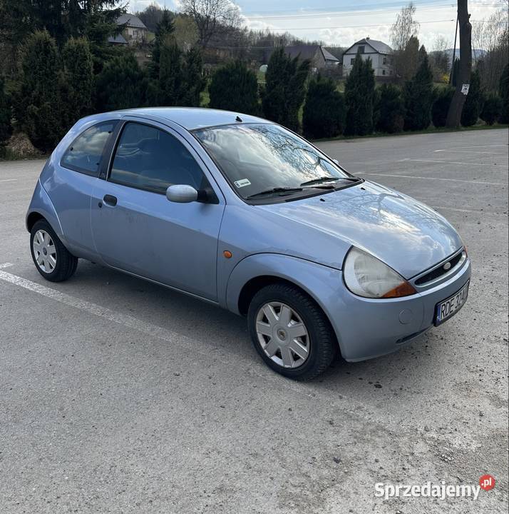 Ford Ka 13 benzyna 2006r Hatchback Ford Strzegocice