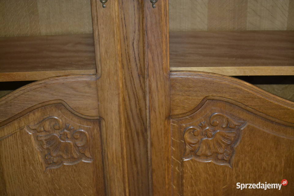 biblioteka witryna ludwikowska dąb