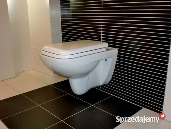 GEBERITserwis spłuczek wc podtynkowych Remont i budowa Warszawa