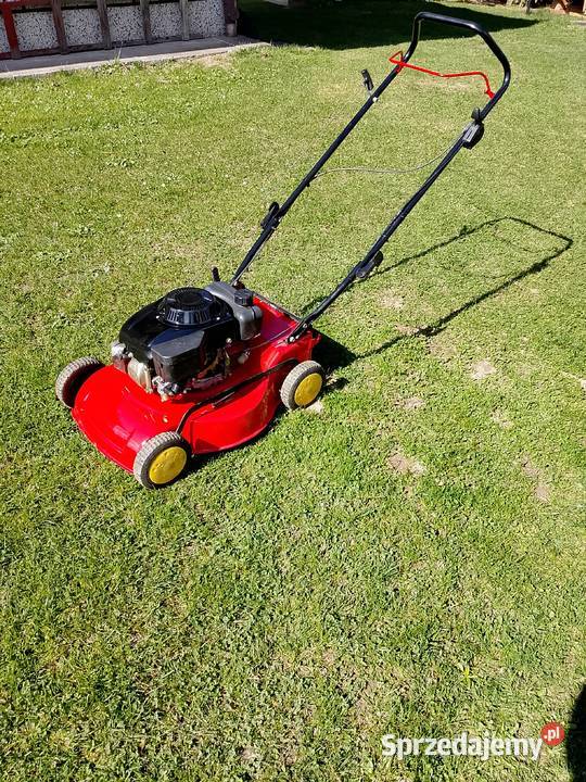 Kosiarka spalinowa Kosiarki spalinowe podkarpackie