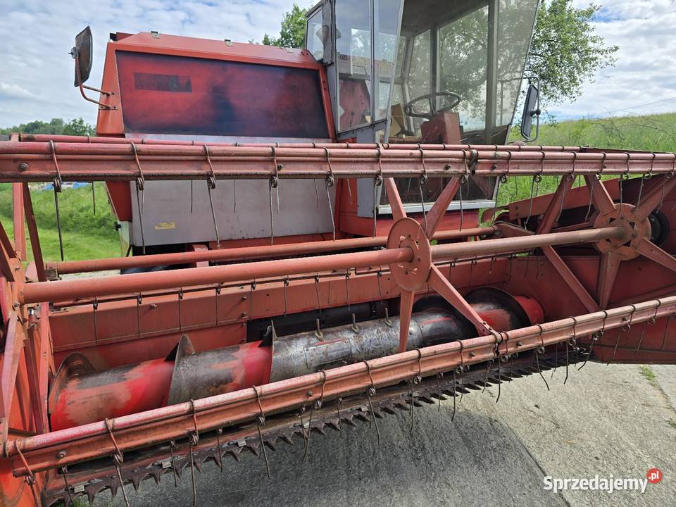 Massey ferguson 506 Królówka