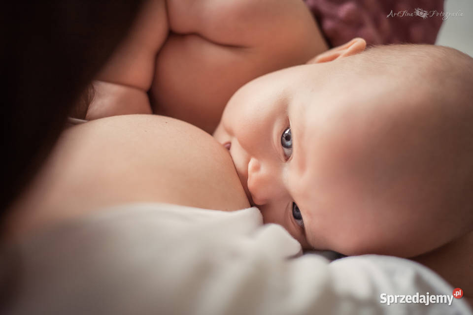 Fotograf sesja noworodkowa dziecięca ciążowa Zgierz sprzedam