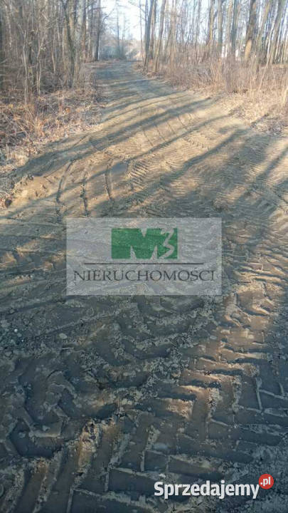 NA SPRZEDAŻ DZIAŁKA W OTOCZENIU LASU W JELNEJ Jelna