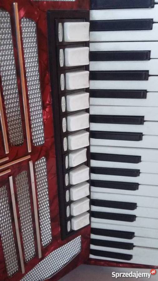AKORDEON DELICJA 120 Wrocław