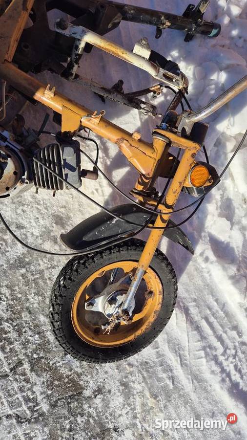 Motorynka stella koła Hryniewicze