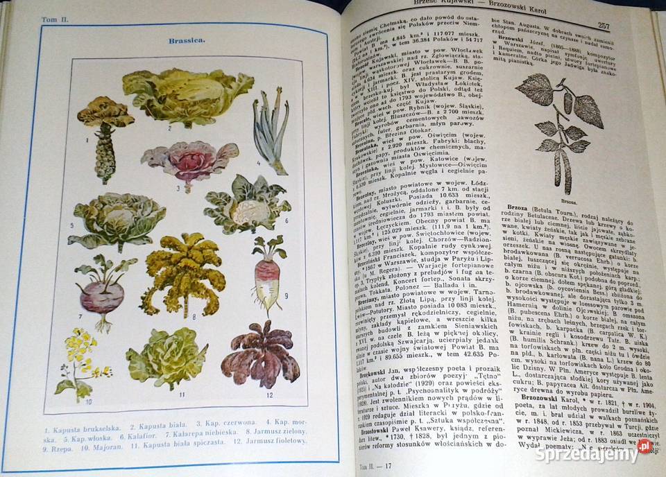 Encyklopedia Powszechna Gutenberga Tom 2 Pozostałe