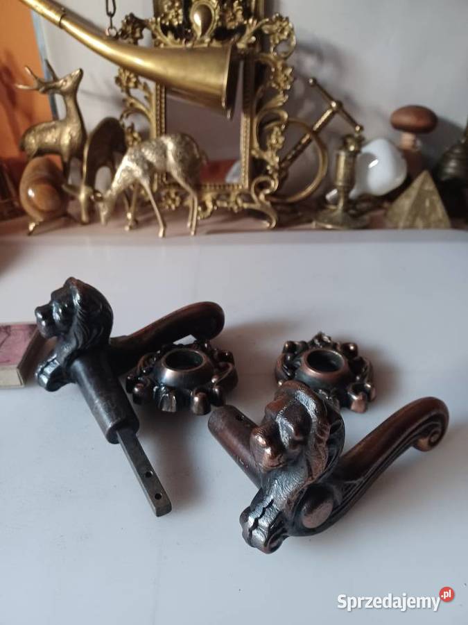 Komplet piekne klamki z głową lwa i szyldy Poznań