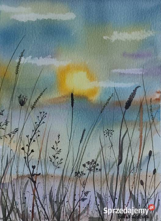 Akwarela Akwarelka Obraz pt Łąka