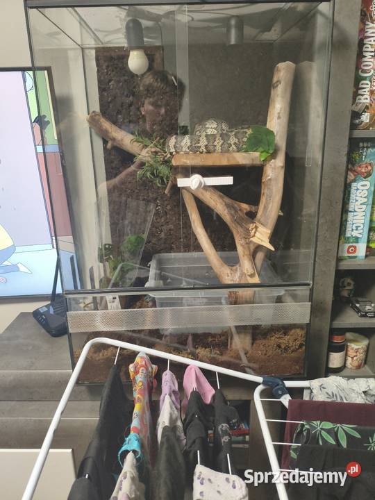 Terrarium 80x50x55 z wyposażeniem Gliwice