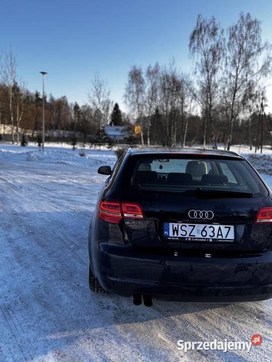 Audi A3 8P Lift Zdziechów