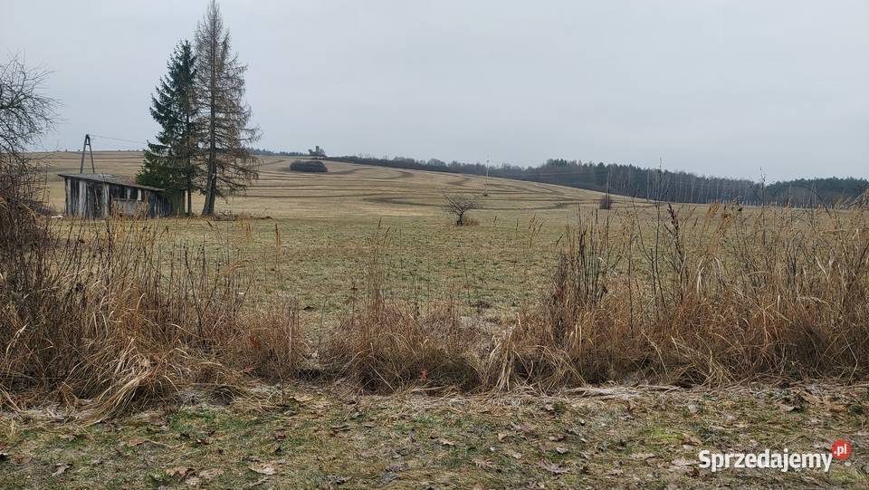 Sprzedam działki budowlane Krasocin