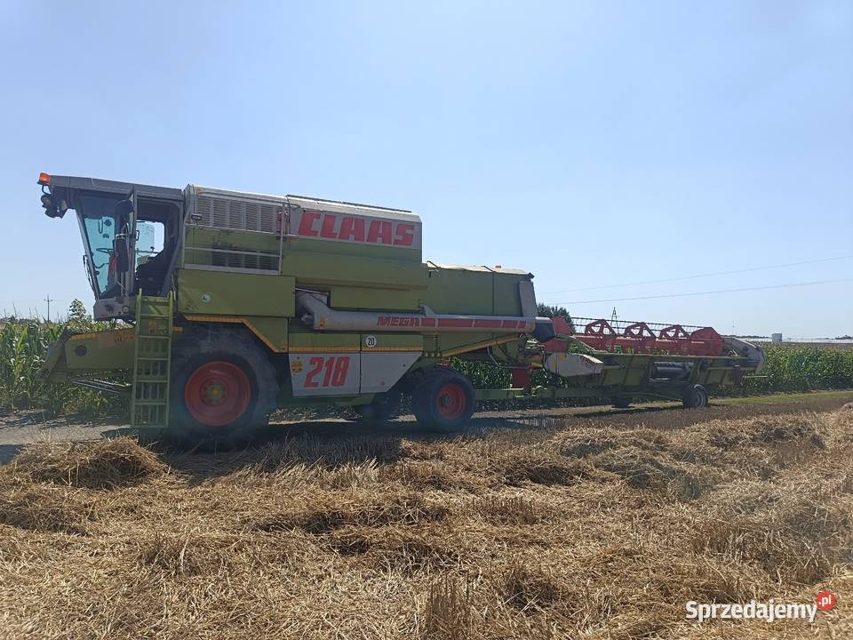 Sprzedam Jastrzębniki