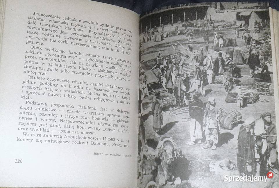 Dawny Babilon i współczesny Irak Jerzy Jan Chełm sprzedam