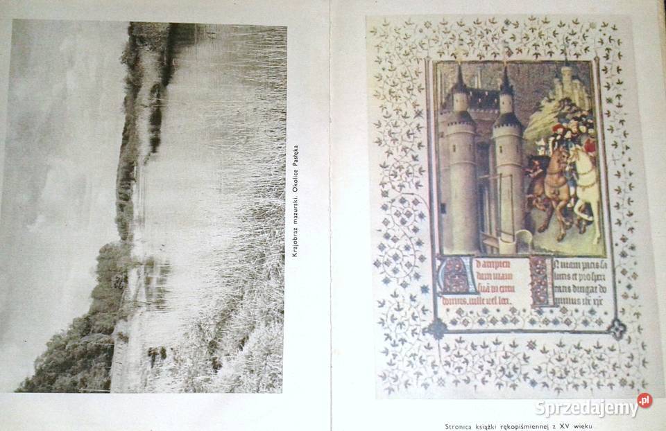 Ojczysta mowa kl 7 S Sufin A Świerczyńska Chełm sprzedam