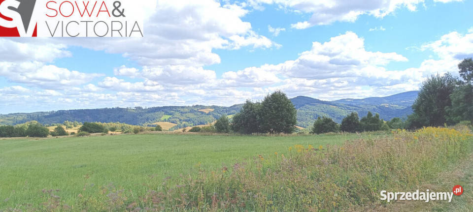 Widokowe słoneczne działki w Niedźwiedzicy dolnośląskie