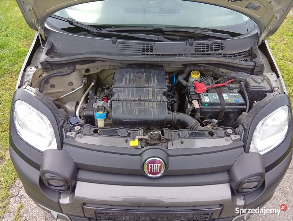 Fiat Panda Cross 2020 Zaborów