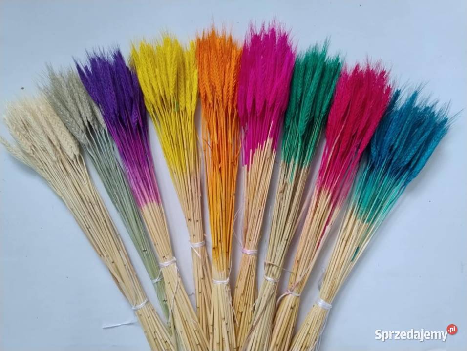 Suszone rośliny do palm bukietów