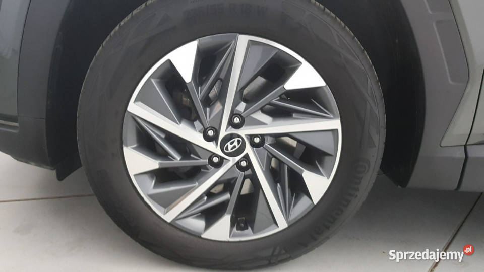 Hyundai Tucson 16 TGDi 48V Executive 2WD Z autoalarm mazowieckie Warszawa sprzedam