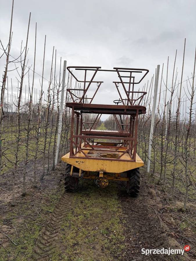 Platforma sadownicza Pozostałe Ludwików