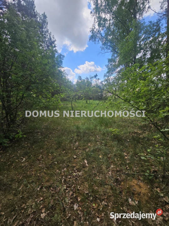 Grunt Brzeziny 2096m2