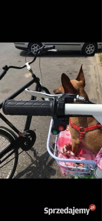 Pojazd trojkowolowy segway Aleksandrów Łódzki sprzedam
