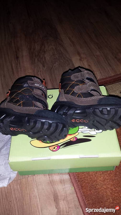 buty ecco Trzewiki i półbuty Wolin