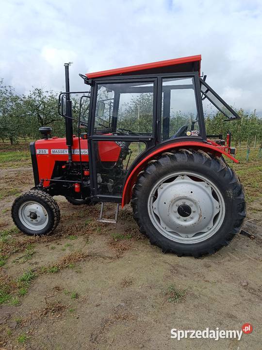 MF Massey Ferguson 255 sadowniczy 3502