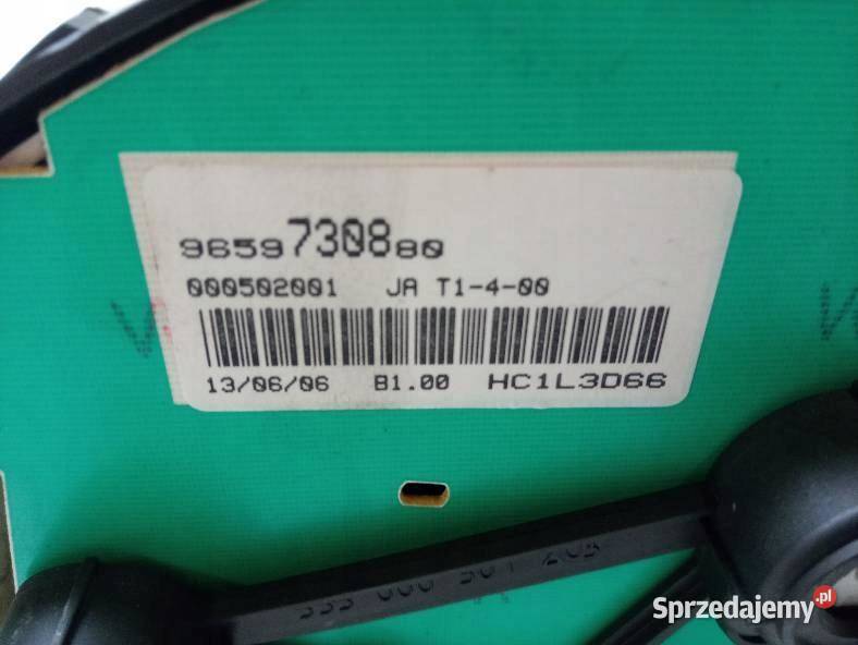 LICZNIK 9659730880 Peugeot 206 I 19982010 sprzedam