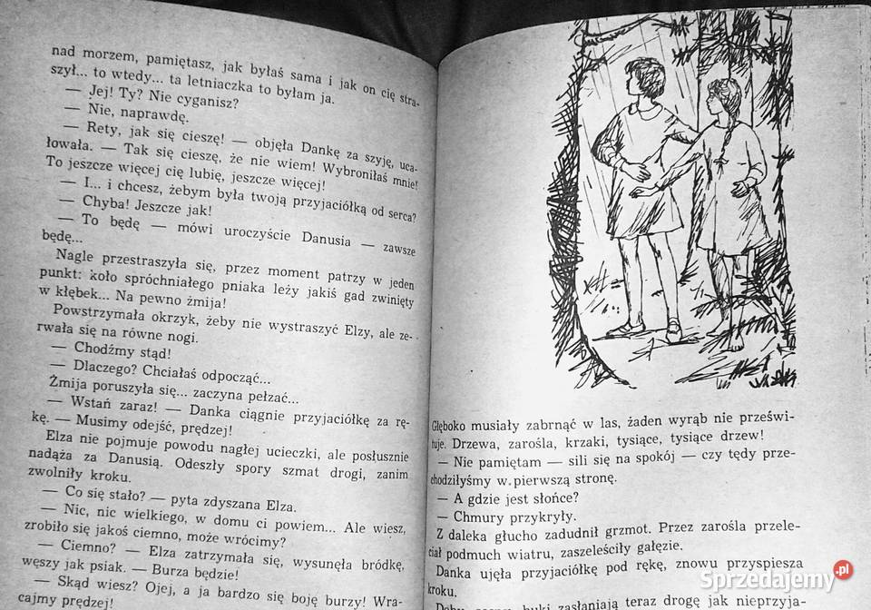 Spotkanie morzem Jadwiga Korczakowska Chełm sprzedam