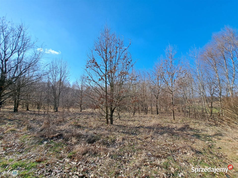 Działka Łagów 5974m2