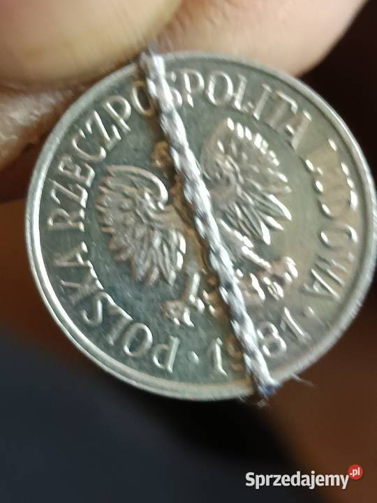 Sprzedam 20 gr 1981 r skrętka Kolekcje Chełm