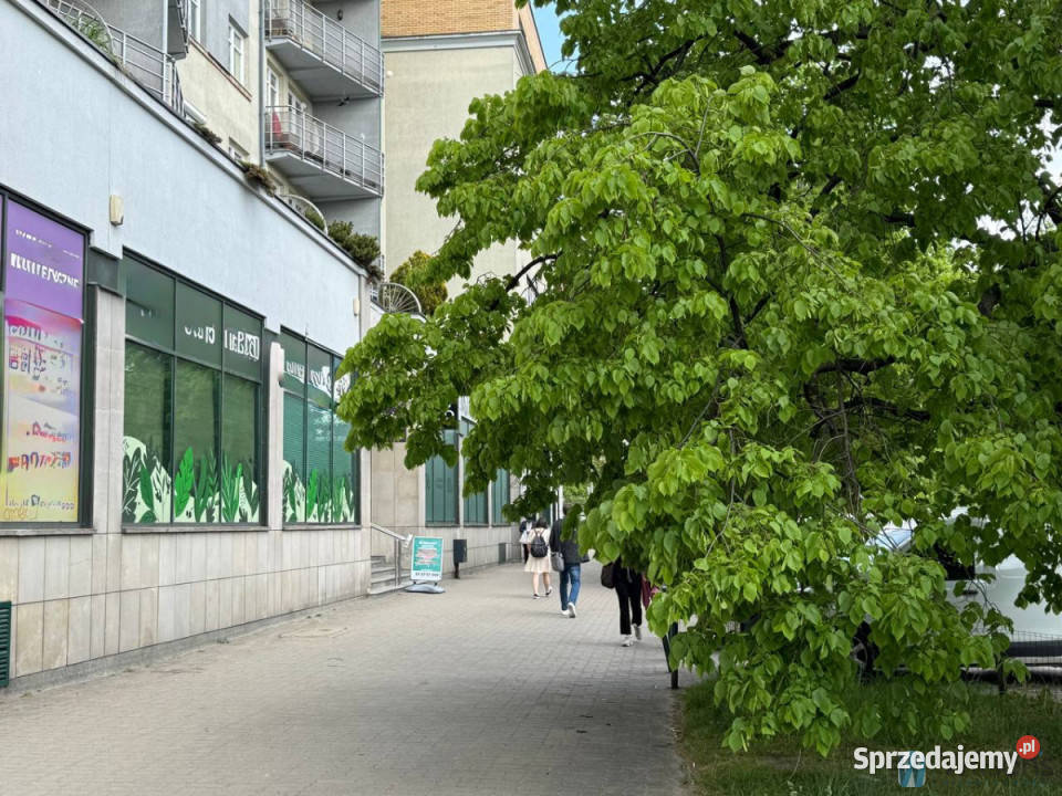 Lokal Warszawa Racławicka 146m2 Wynajem sprzedam