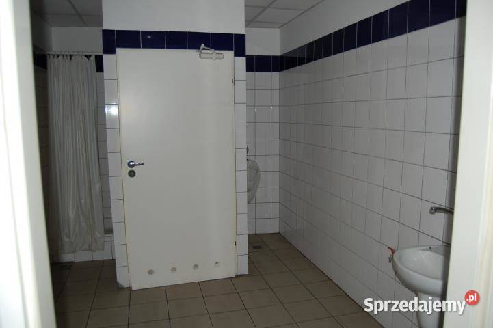 wynajmu lokalu Częstochowa śląskie