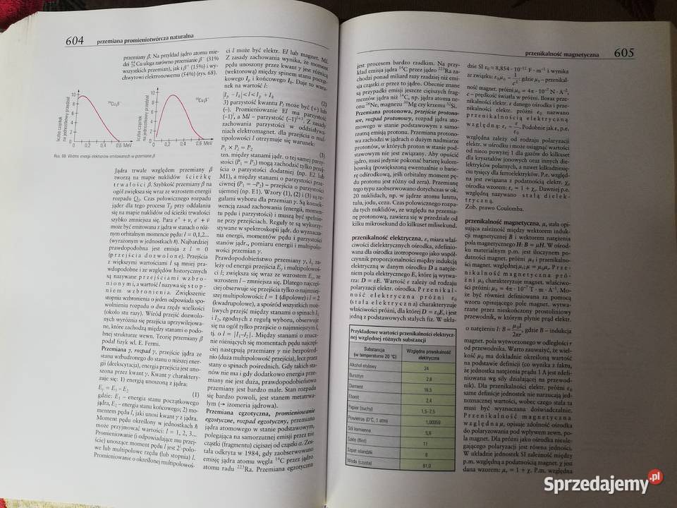 Encyklopedia Szkolna Fizyka z astronomią WSIP Kraków