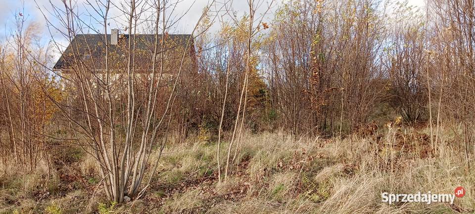 3 działki z MPZP w Wychowie k Luzina 194zł/m2 Sprzedaż Grunty i działki Sychowo