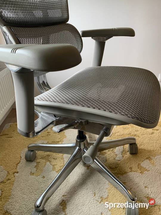 Fotel Ergohuman 2 Elite Pro GS Grey Warszawa