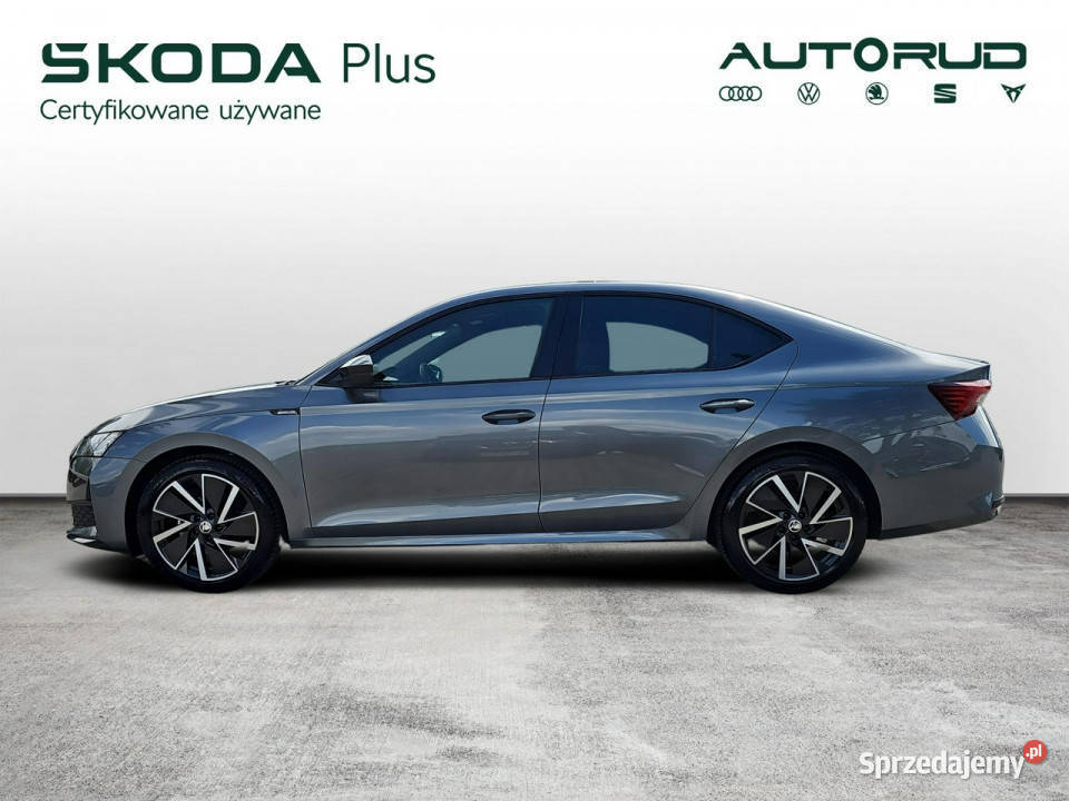 koda Octavia 15eTSI 150 DSG Sportline 2024 1WŁ Sedan / Limuzyna świętokrzyskie