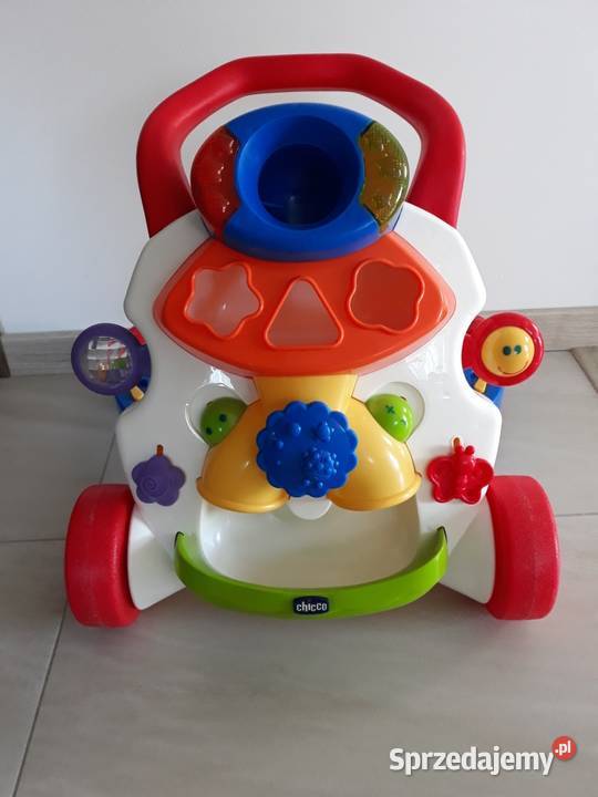 Pchacz Chicco pomorskie Gdańsk sprzedam