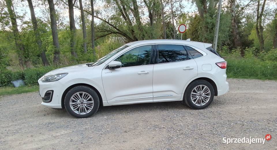 Śliczny Ford Kuga 20 Ecoblue 4WD Vignale nawigacja Głosków