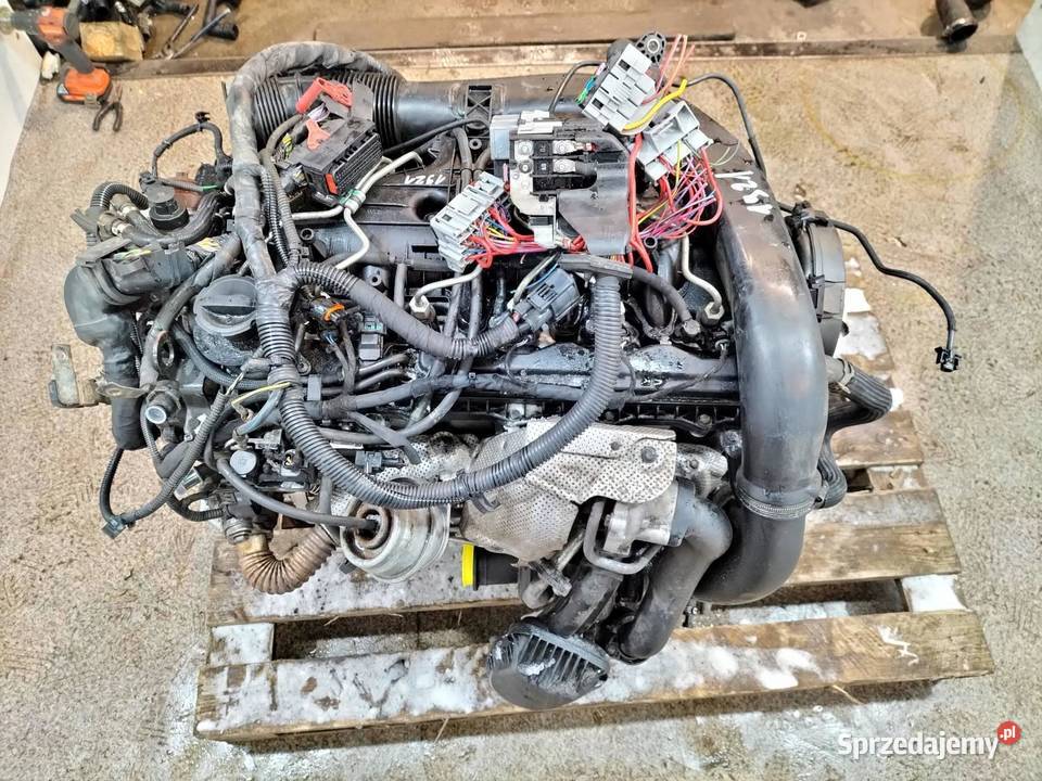 SILNIK KOMPLETNY DIESEL D5244T10 24 D D5 20V 205 sprzedam