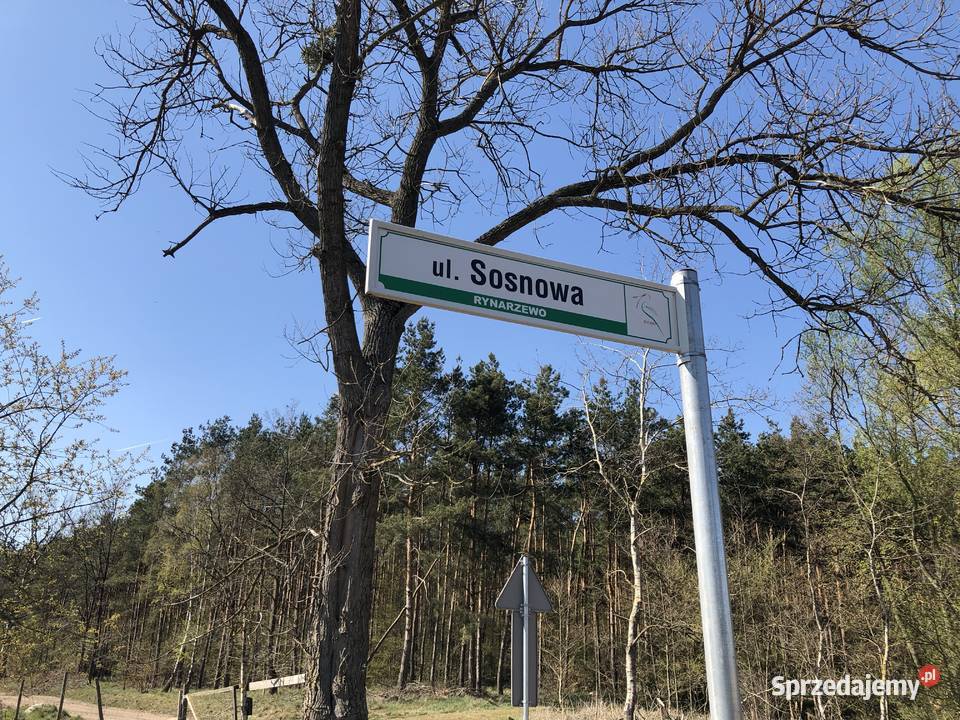 Rynarzewo działka ze ścianą lasu Powstańców Wlkp woda kujawsko-pomorskie sprzedam