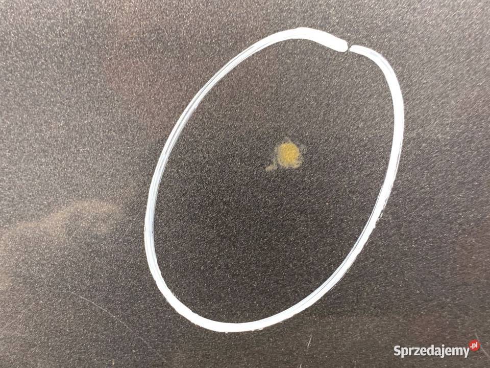 KLAPA TYŁ FORD MONDEO MK4 Hatchback 0715 Sea osobowe