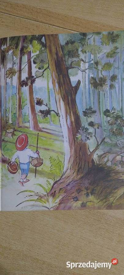 Na Jagody ISBN 838506317X lubelskie Lublin