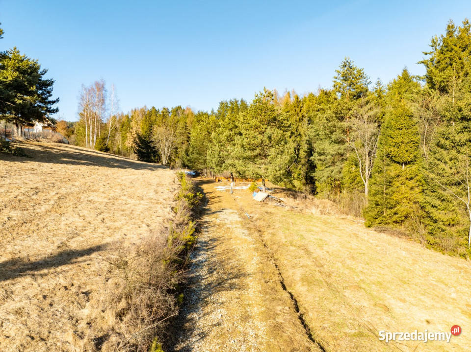Szlembark działka budowlanoleśna 5305m2 5305m2