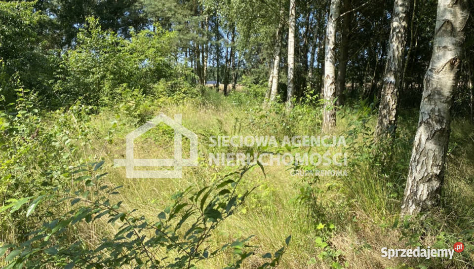 Grunt 883m2 Mieroszyno