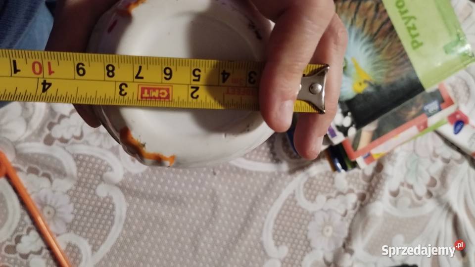 Dekoracyjna kaczka wielkopolskie Poznań