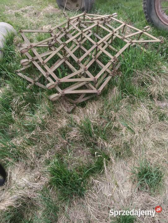 Brony 5 Pozostałe Ostrów