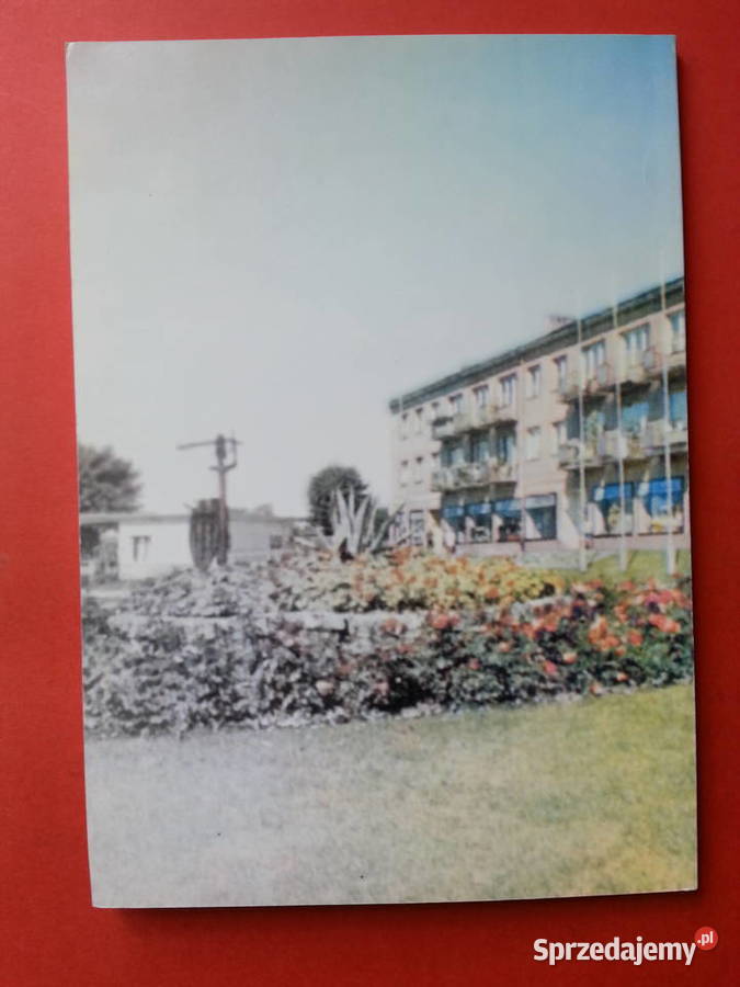 2953 Dębnowskie Maratony Szczecin