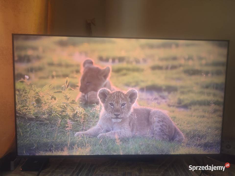 Sprzedam terewizor tlc55 Qled Zegrze