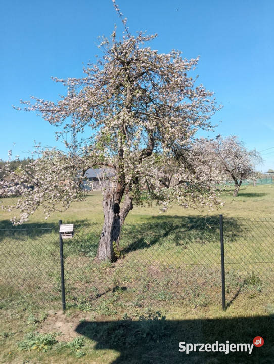 Sprzedam zamienię nowy dom pod Łodzią